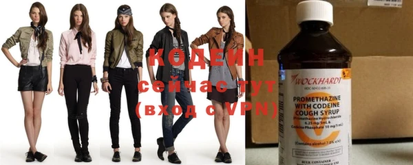 индика Гусев