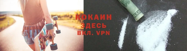 индика Гусев