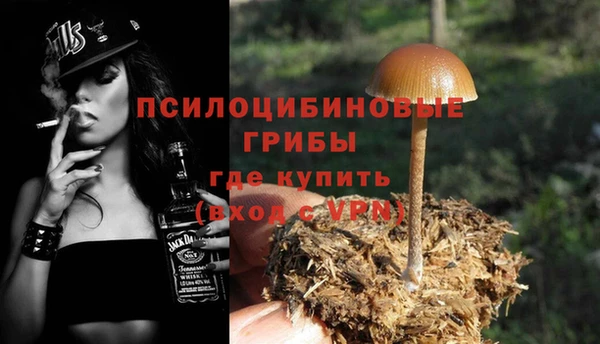 индика Гусев