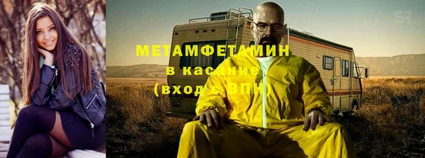 индика Гусев