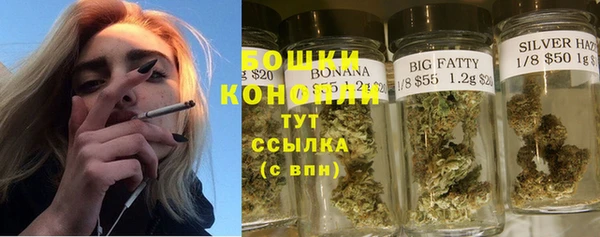 jwh Гусь-Хрустальный