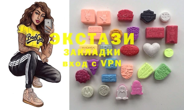 индика Гусев