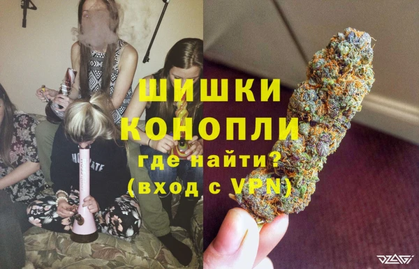 индика Гусев