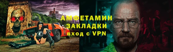 индика Гусев