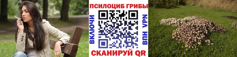 Галлюциногенные грибы прущие грибы  Мезень 